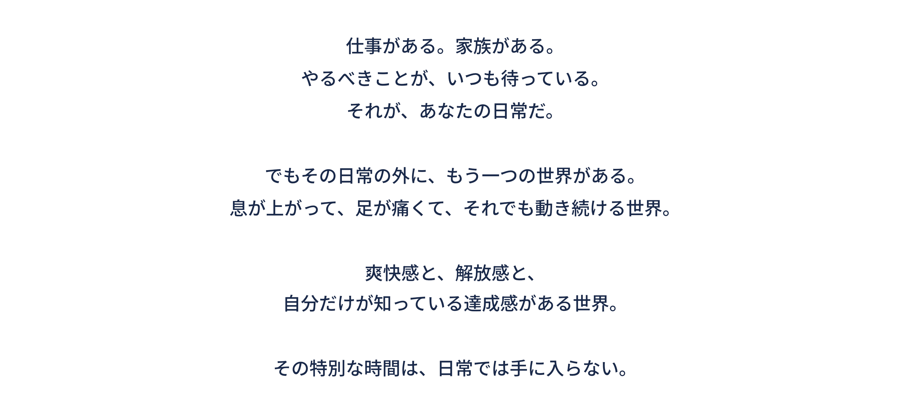 LifeSprintについて