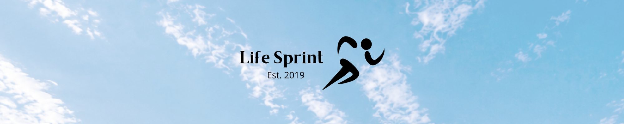 LifeSprint